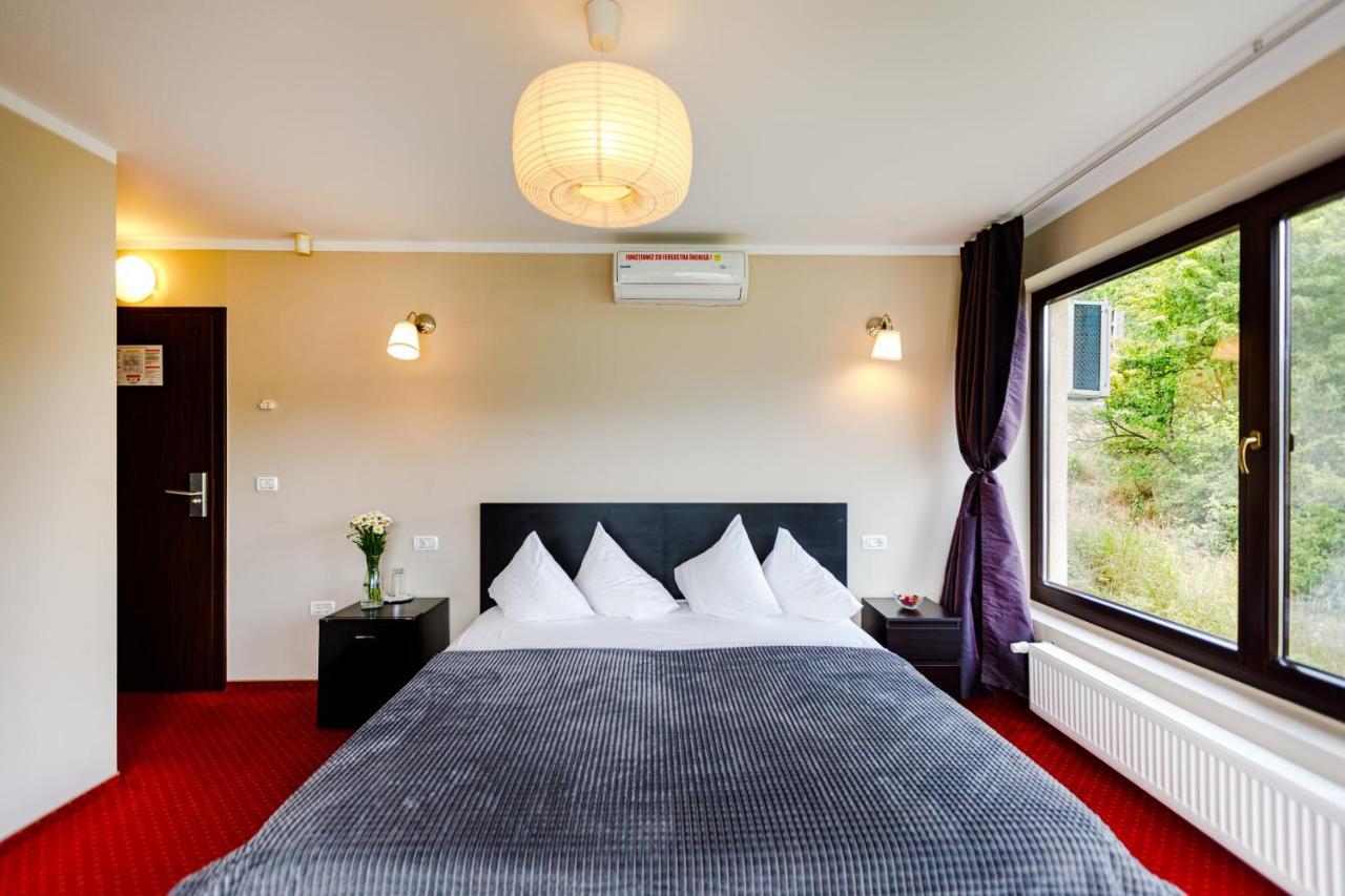 Rex Infinity View 4* Cazanele Dunarii Dubova Εξωτερικό φωτογραφία