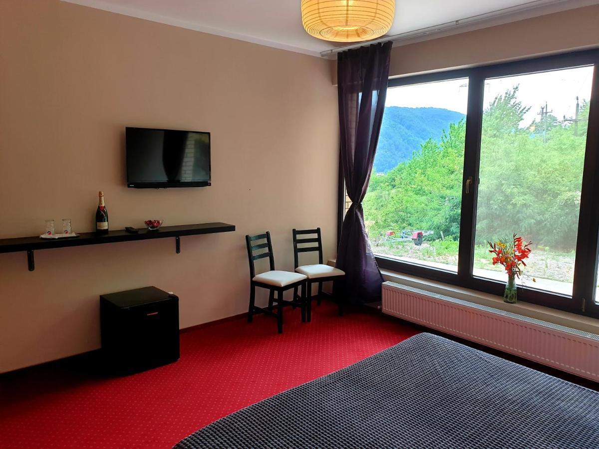 Rex Infinity View 4* Cazanele Dunarii Dubova Εξωτερικό φωτογραφία