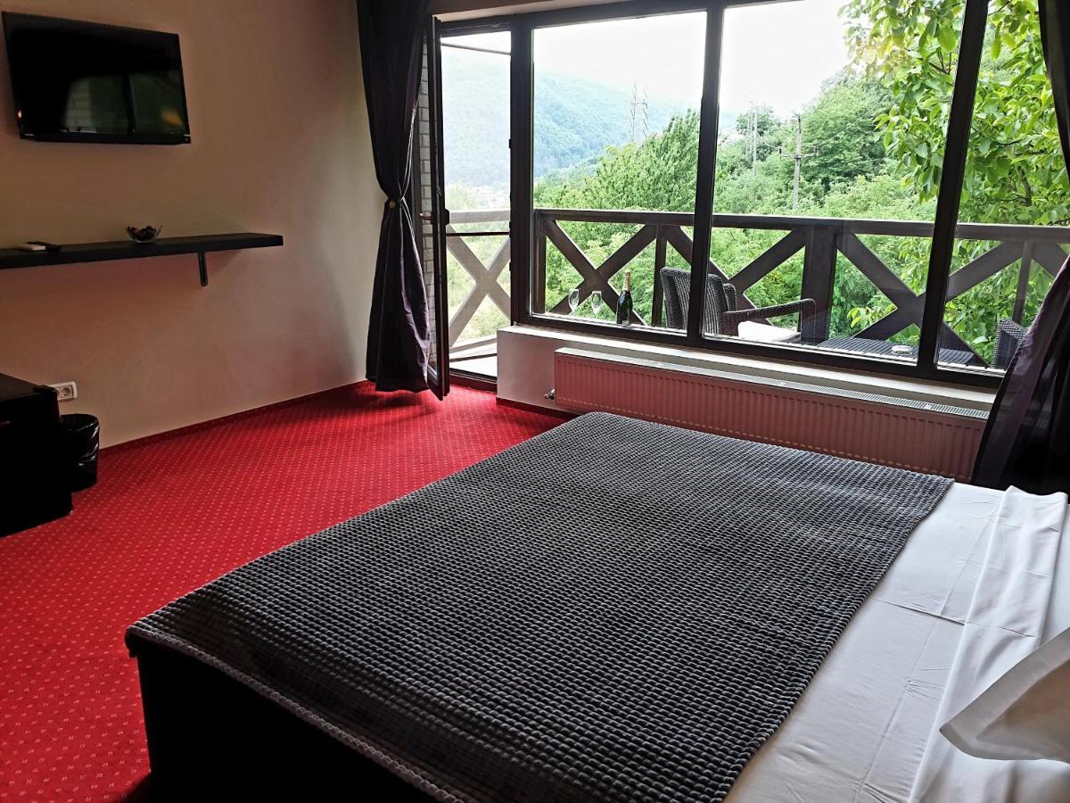Rex Infinity View 4* Cazanele Dunarii Dubova Εξωτερικό φωτογραφία